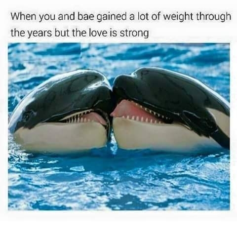Fat Couples Memes