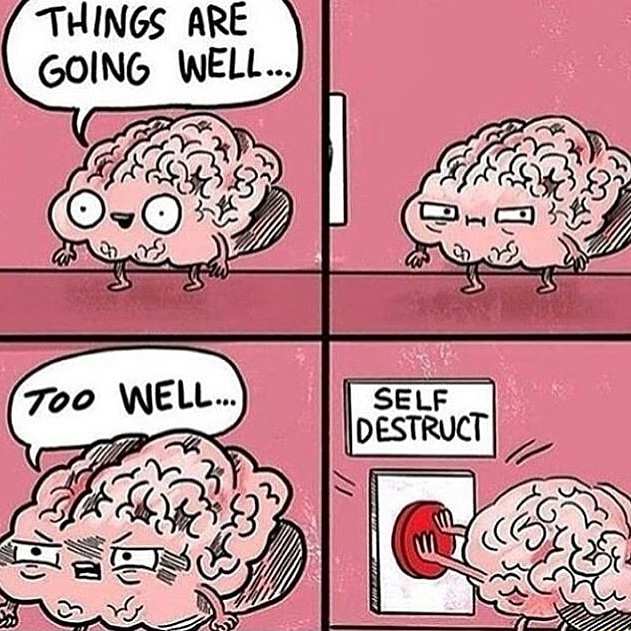 The Brain - meme