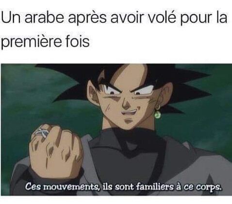 Goku Black - meme