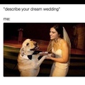 doggo is getting married imma cry