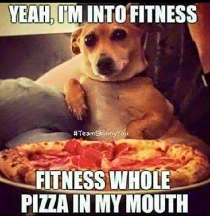 Pizza dog - meme