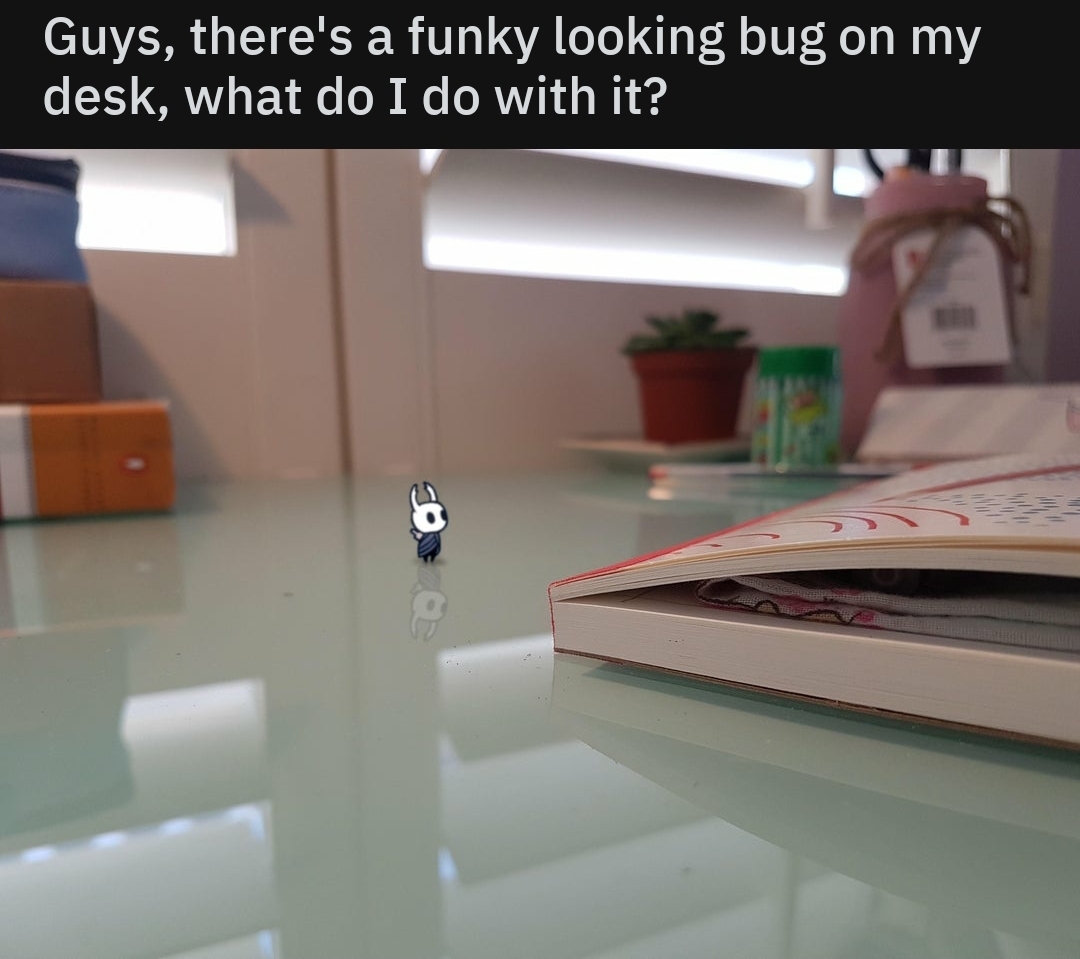 Just a normal everyday bug - meme