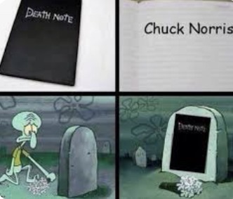 Chuck Norris y Shaggy no pueden morir wey alv :VvvxdXdxD - meme