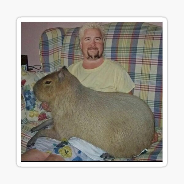 Capybara - meme