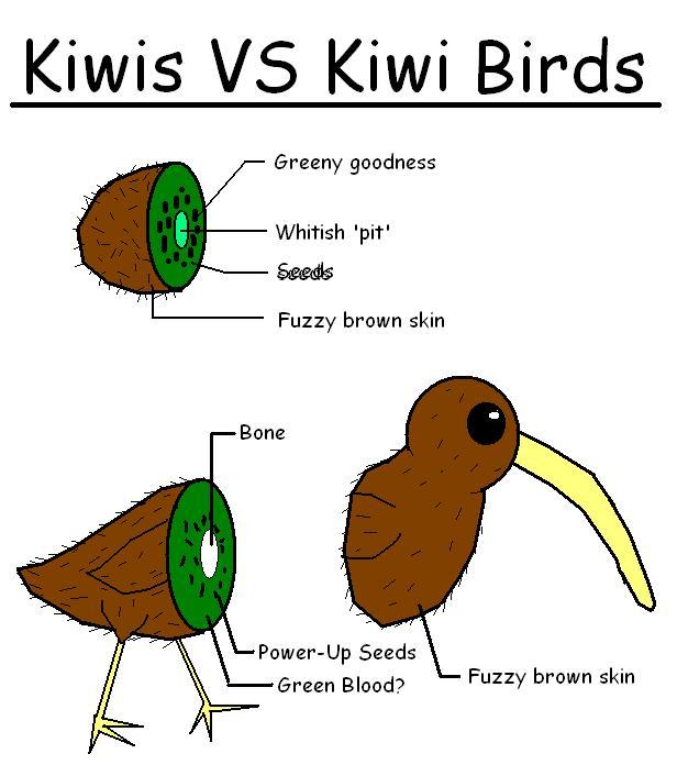 The anatomy of kiwis - meme