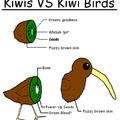 The anatomy of kiwis