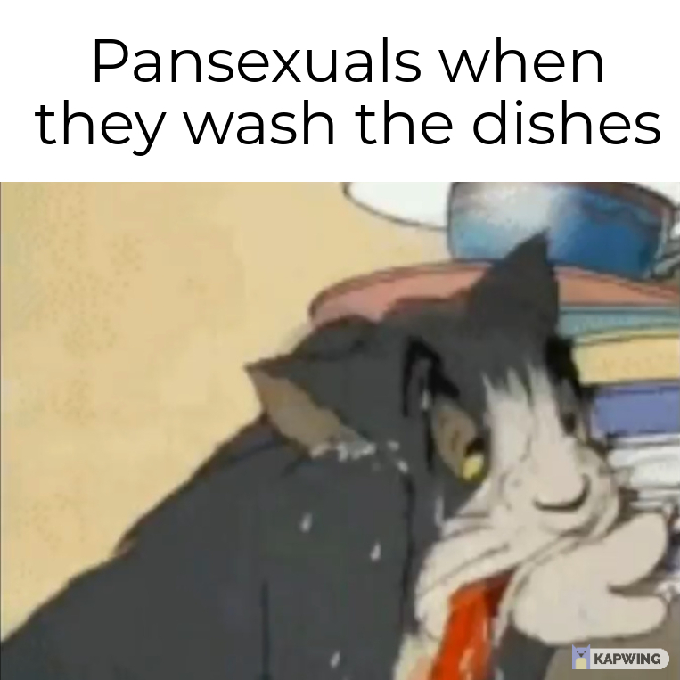 Le Pansexuals - meme