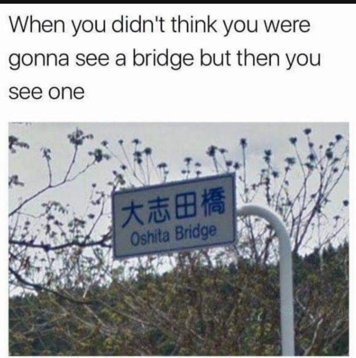 Oshita bridge - meme