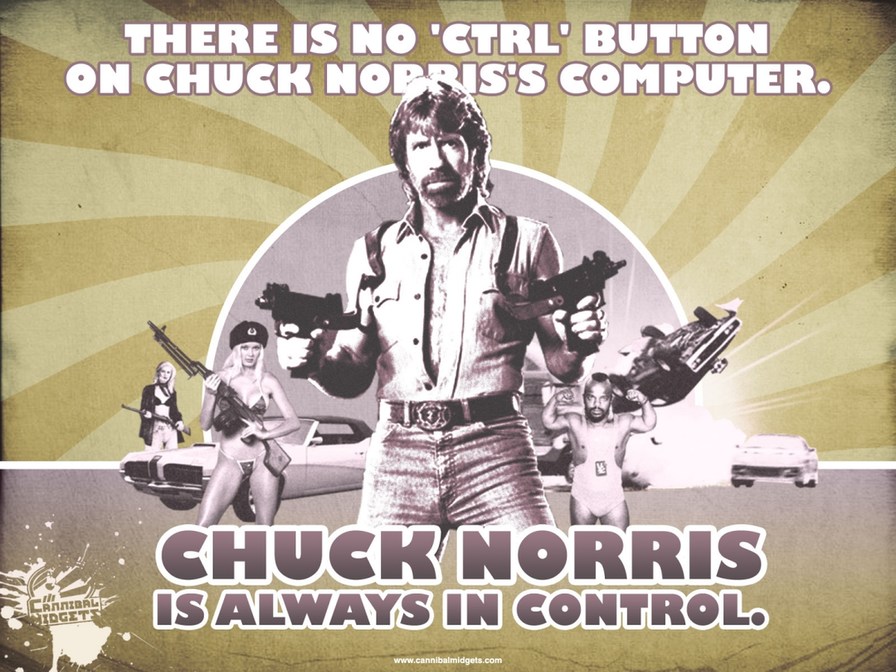 Chuck norris fact - meme