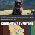 Good dog news everyone