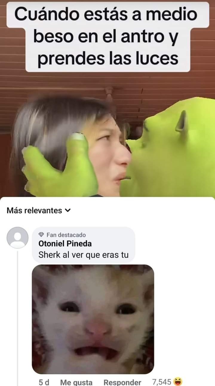 Otro meme de Shrek - Meme by Theratlinbog1935 :) Memedroid