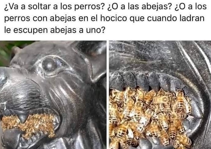 No eran solo perros... eran perros con abejas en el hocico - meme