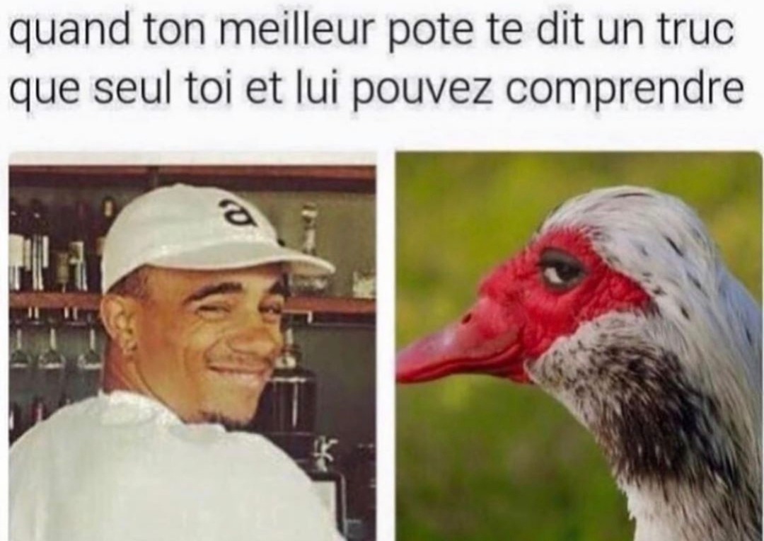 langage secret - meme