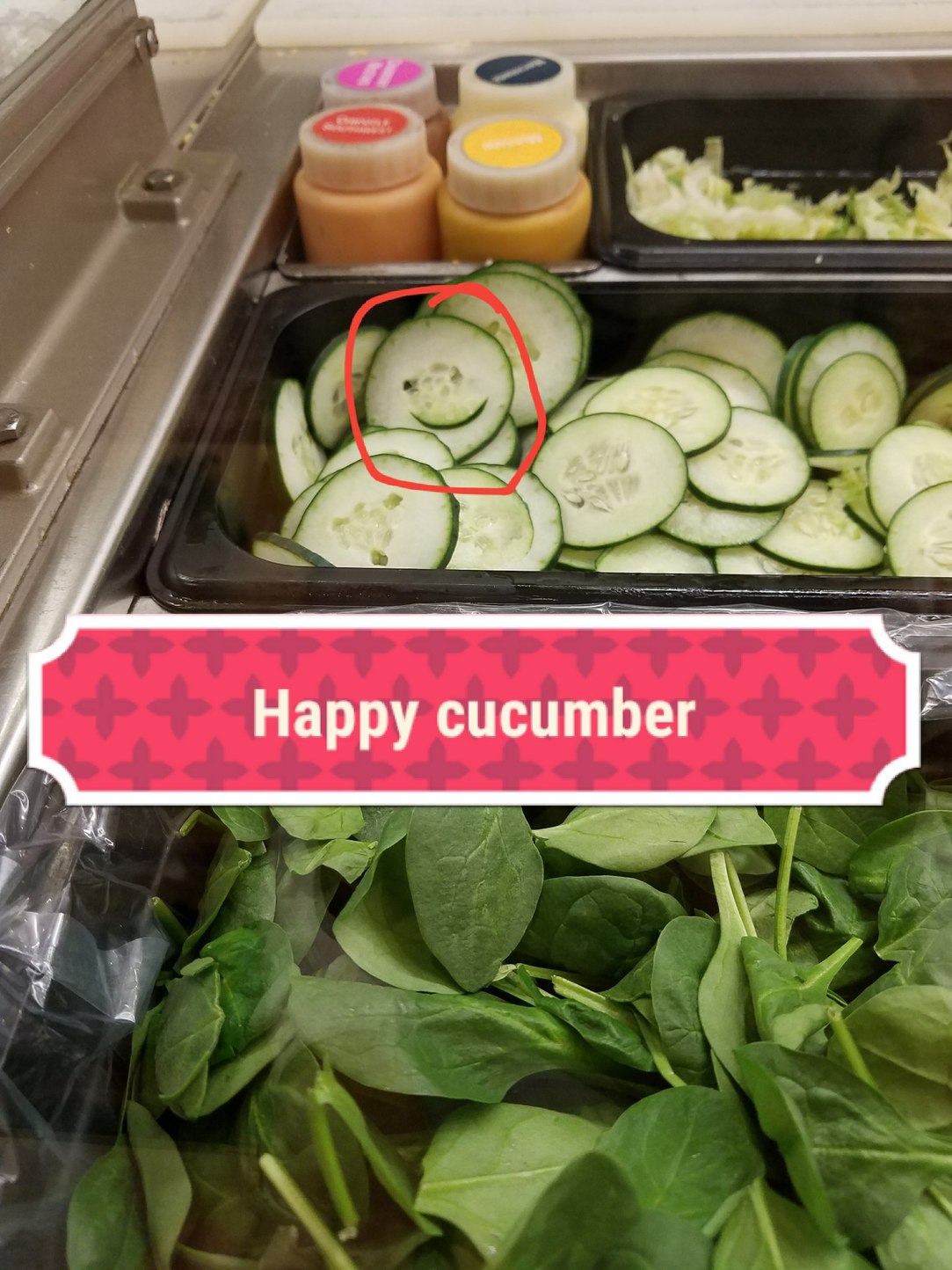 The one and only magestic happy cucumber at subway - meme