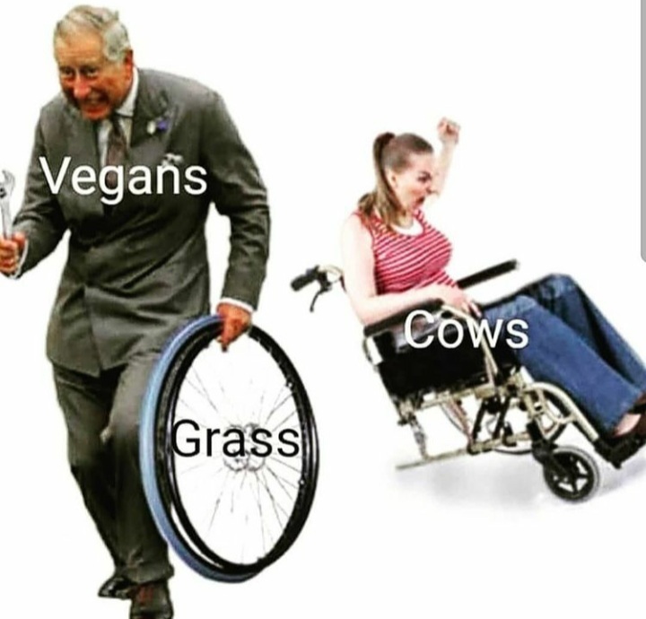 Gosh darn vegans - meme