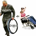 Gosh darn vegans