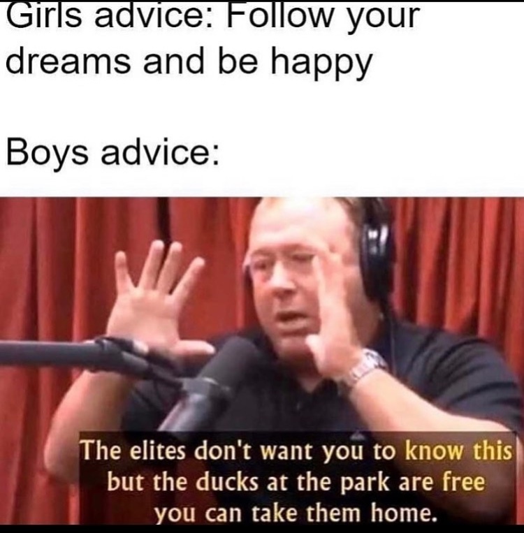 chemicals in the frogs are turning the frogs gay - meme