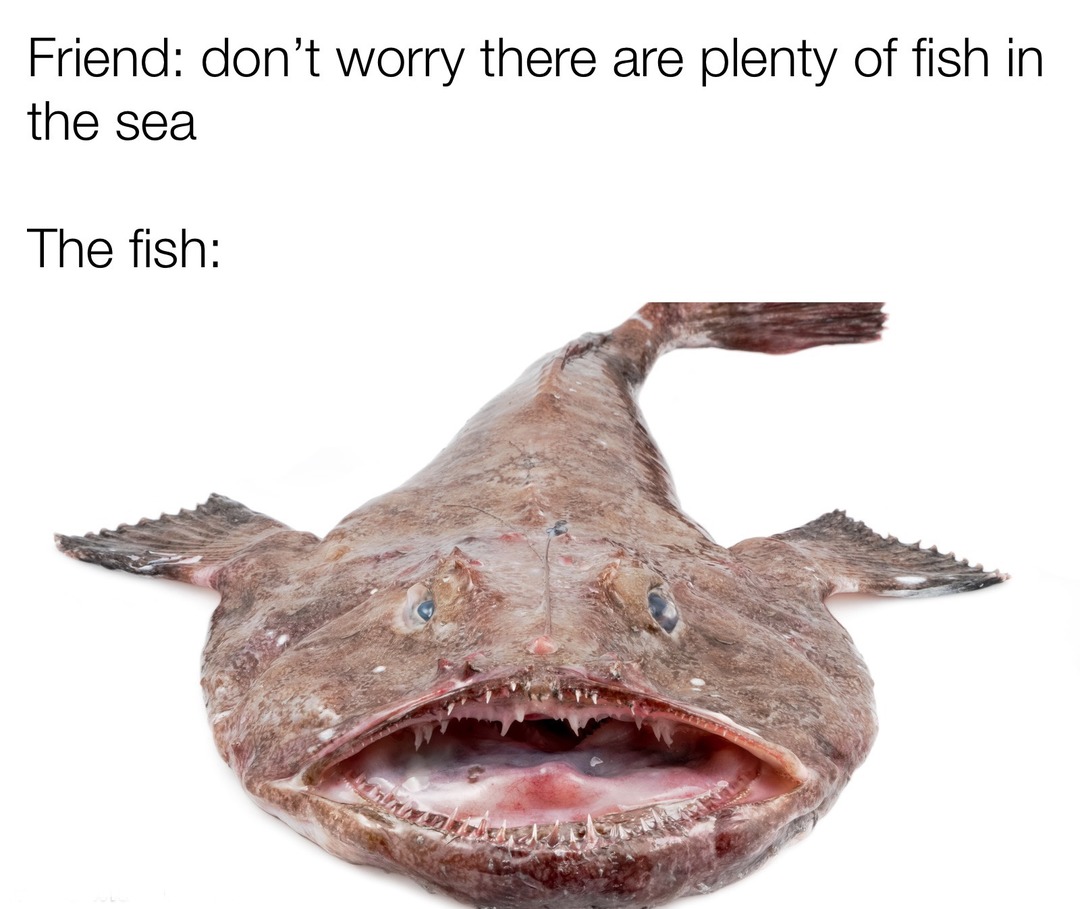 I couldn’t find one in the water - meme