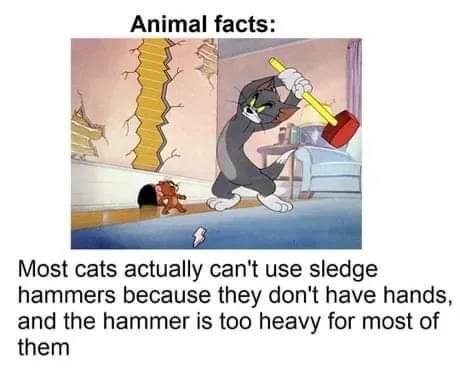 Animal Facts - meme
