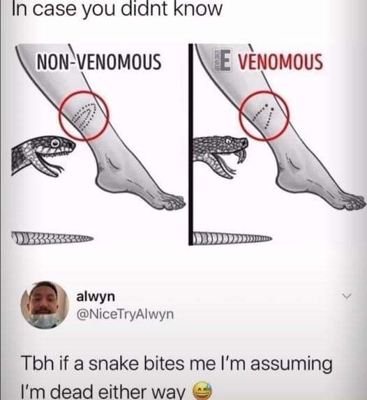 funny meme about snake bites