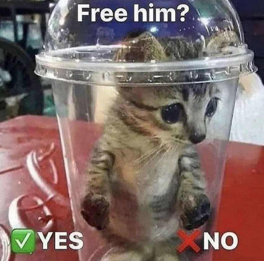 Q - Meme by DabbinSquidward77 :) Memedroid