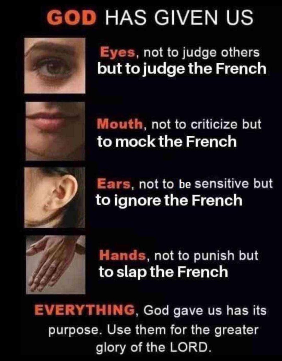 Bully the french - meme