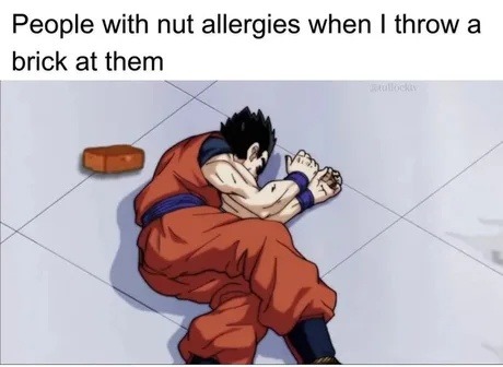 Nut allergy jokes are wild out here - meme