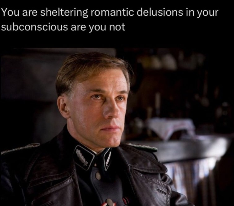 Bro you shel‑ tering some wild romantic delusions - meme