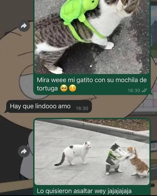 robogato mochilero - meme