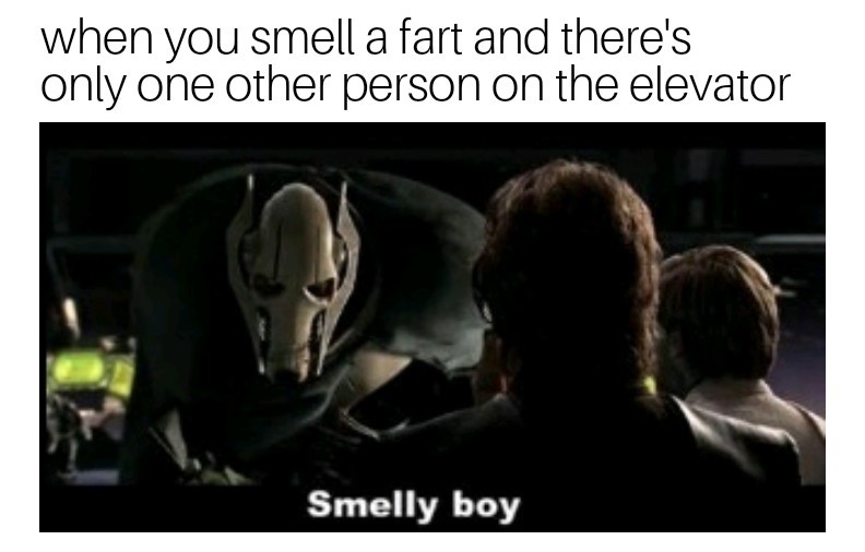Whoever smelt it... - meme