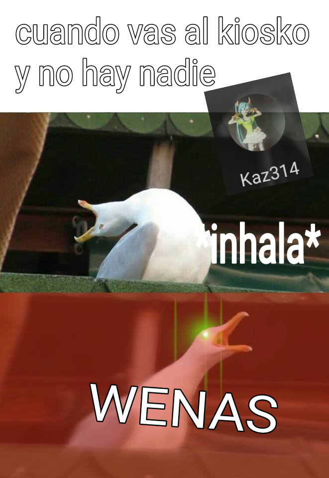 Wenas - meme