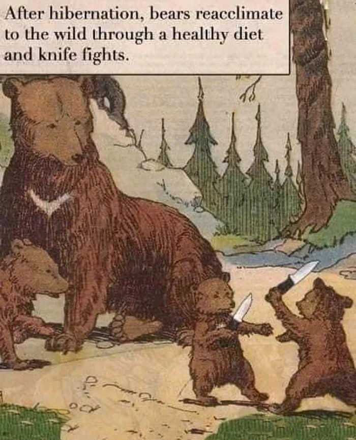 Right to arm bears - meme