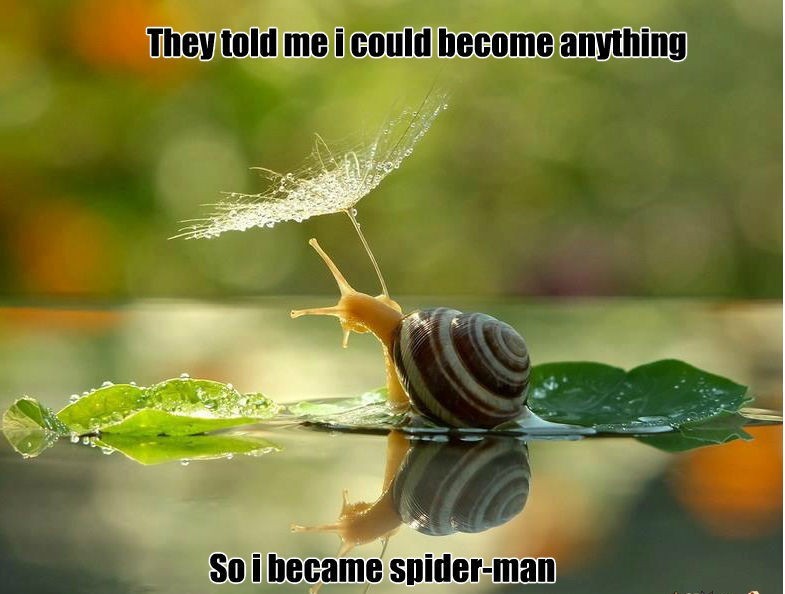 Snail memes - Meme by Dlegofan :) Memedroid