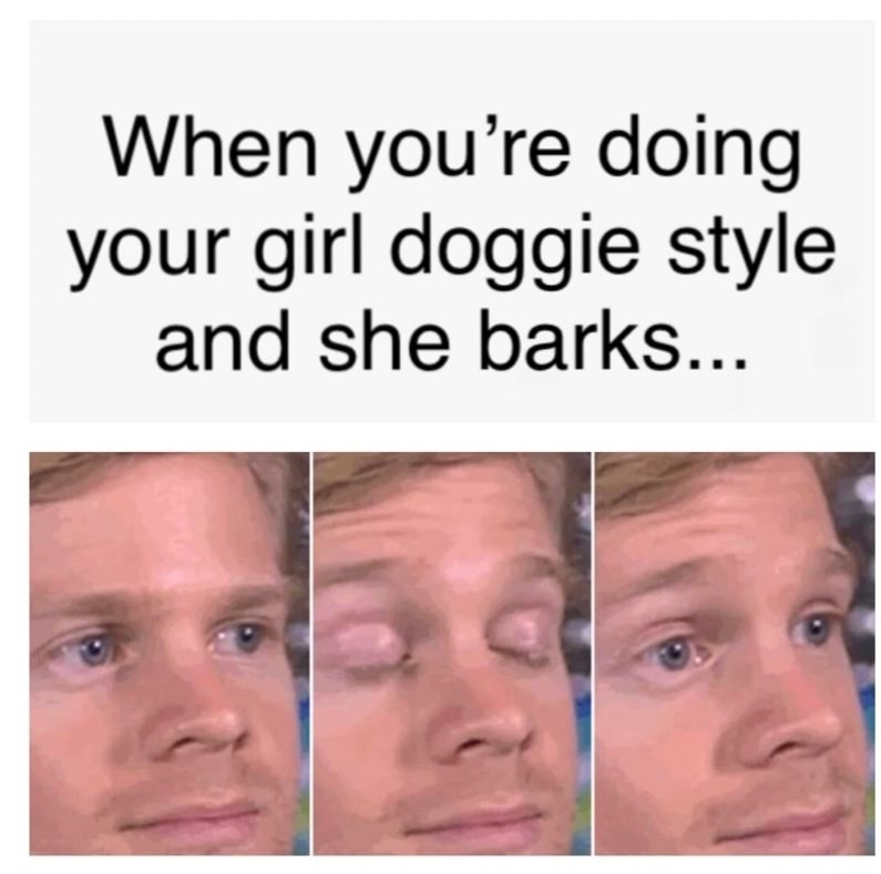Doggie - meme