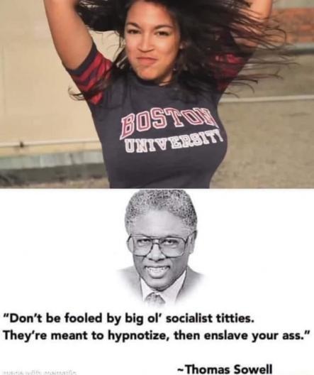 Thomas Sowell is right - meme