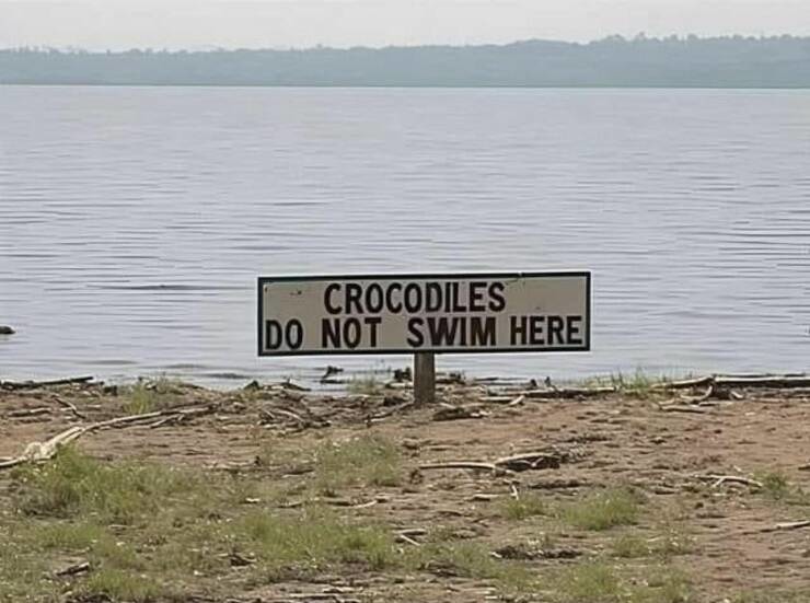 So if crocodiles don't swim there, it's safe for you to swim there. - meme