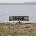 So if crocodiles don't swim there, it's safe for you to swim there.