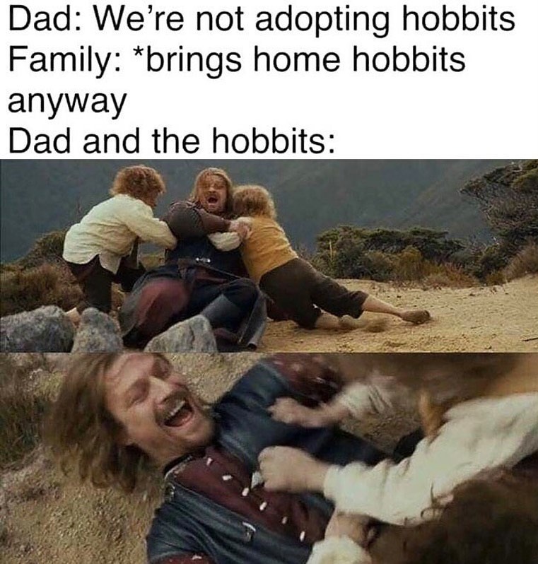 Boromir the hobbit father - meme