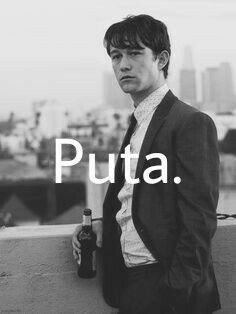 lo que le debio de decir a summer : - meme