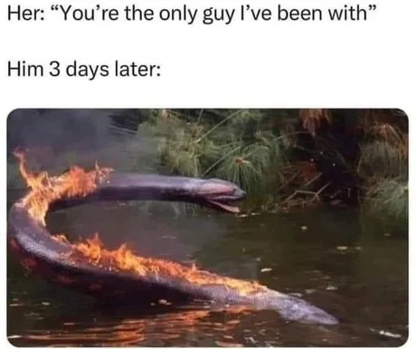 she was lying - meme