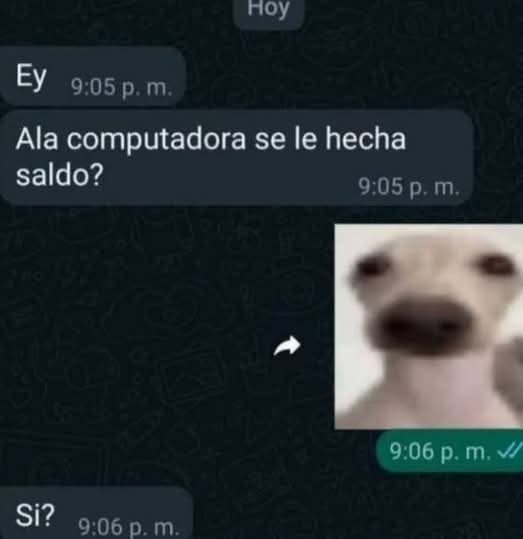 Reiteración errónea - meme