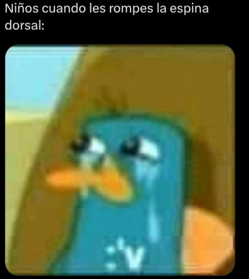 - - meme