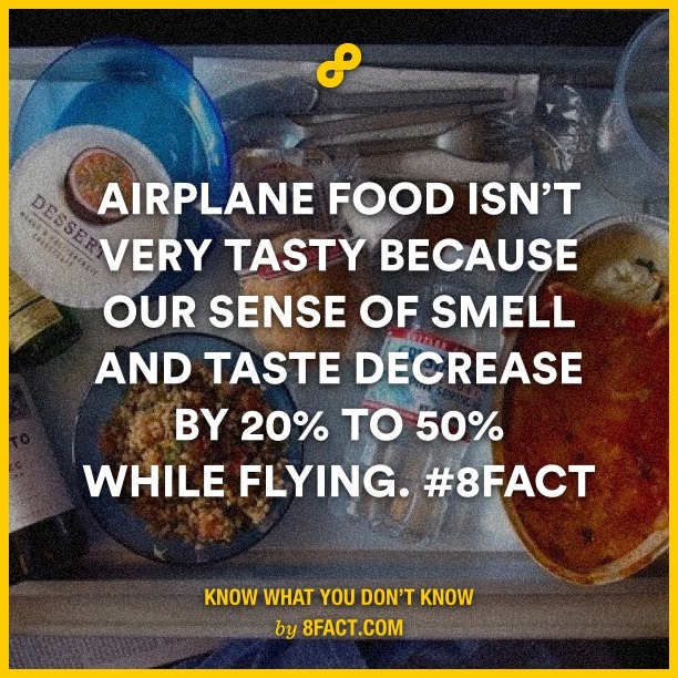 airplane food - meme