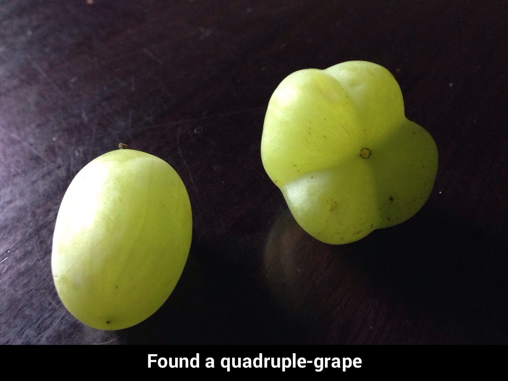 Quadruple-grape - meme