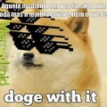 doge with it
