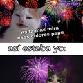 Memes festivos con gatos.