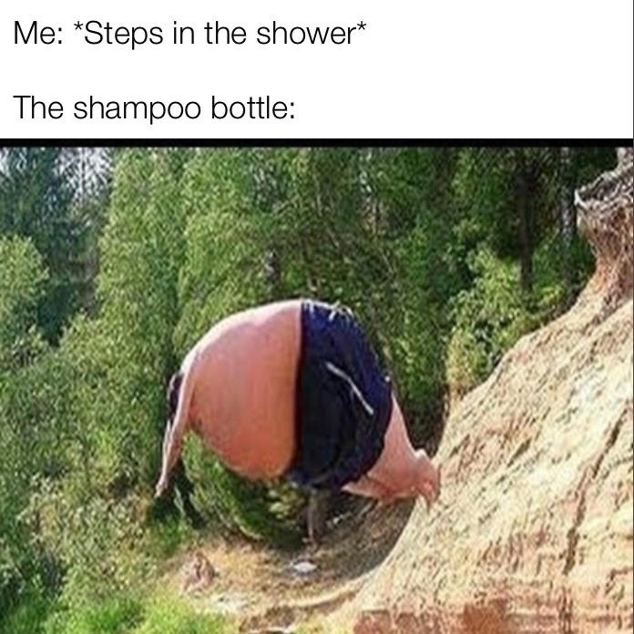shampoo - meme