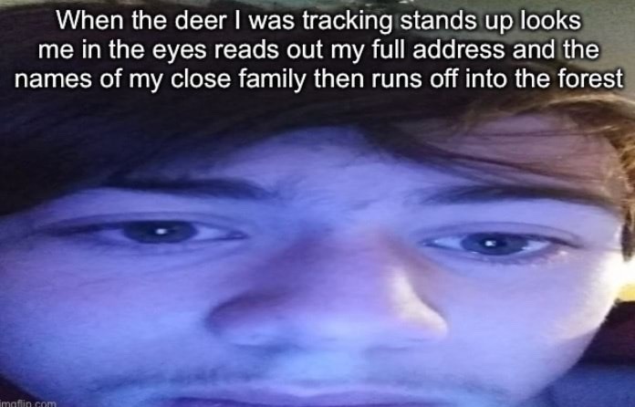 tracking deer - meme