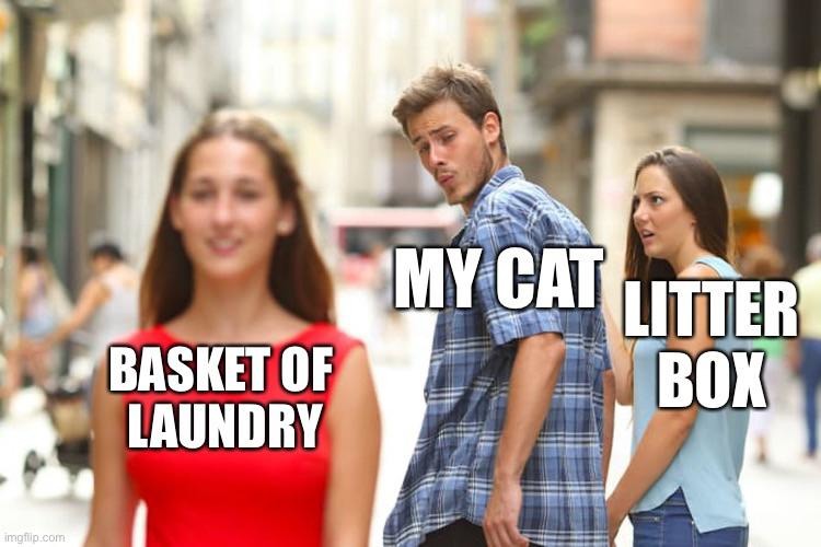 Relatable cat meme