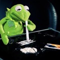 Kermit is tired of waiting